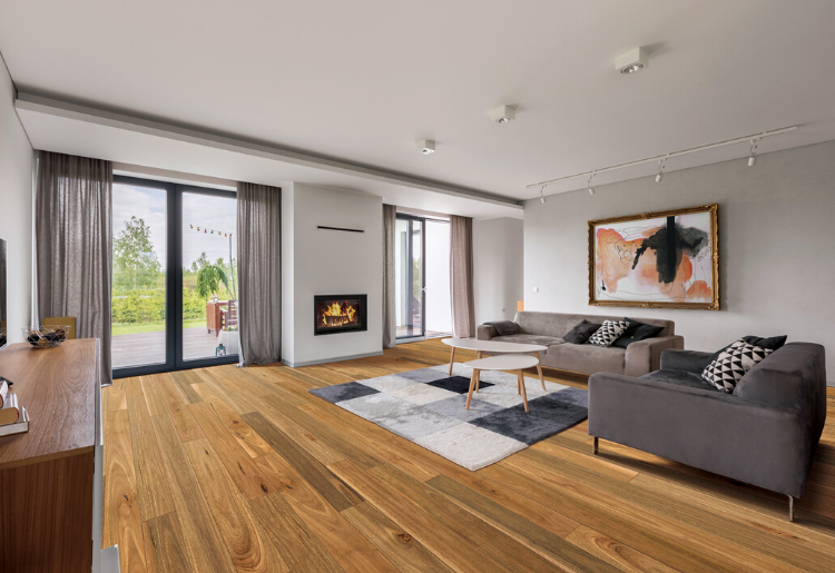 Australian-Native-Website-Spotted-Gum