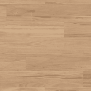 Eastern Blackbutt VGW130T