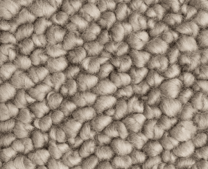 Pumice