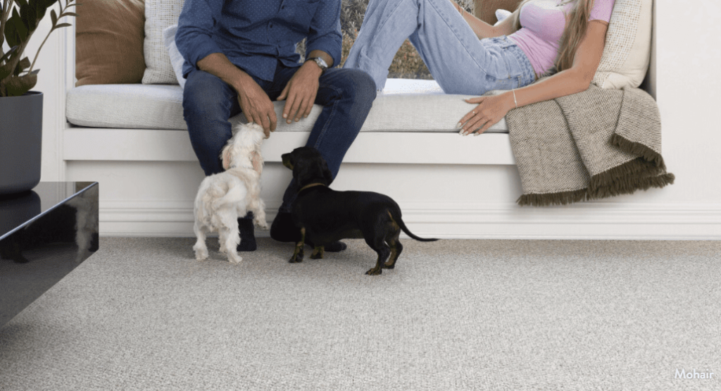 Screenshot 2024 09 05 162500