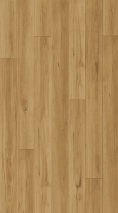 Blackbutt