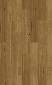 Southern Blackbutt