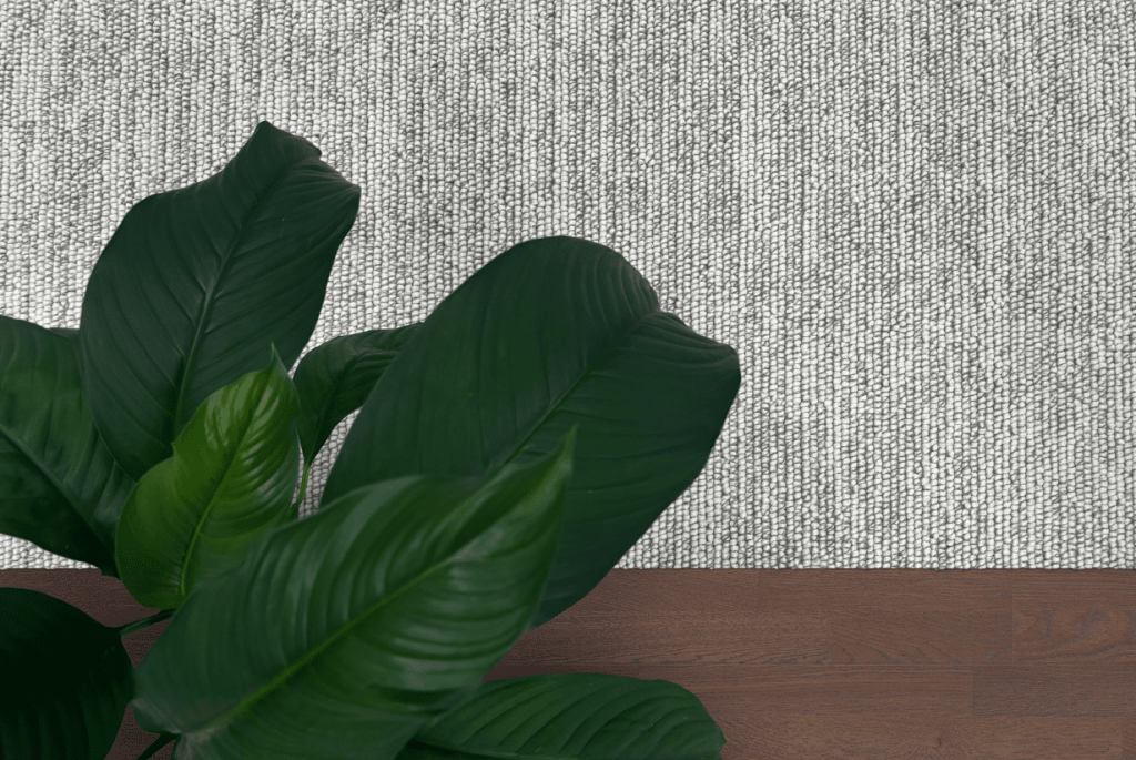 Screenshot 2025 05 12 122725