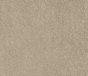 Warm Neutral