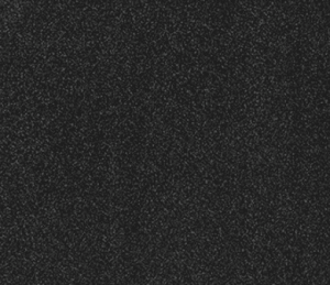 Black Velvet