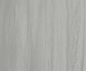 Coral 03