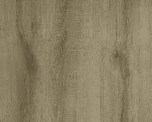 Stradbroke Oak 09