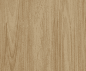 Banksia Blackbutt 18