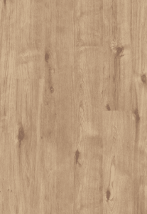 Cabin Oak