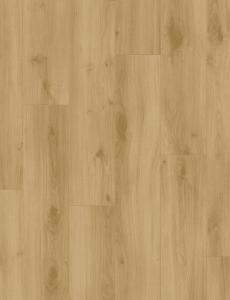 Rotan Oak