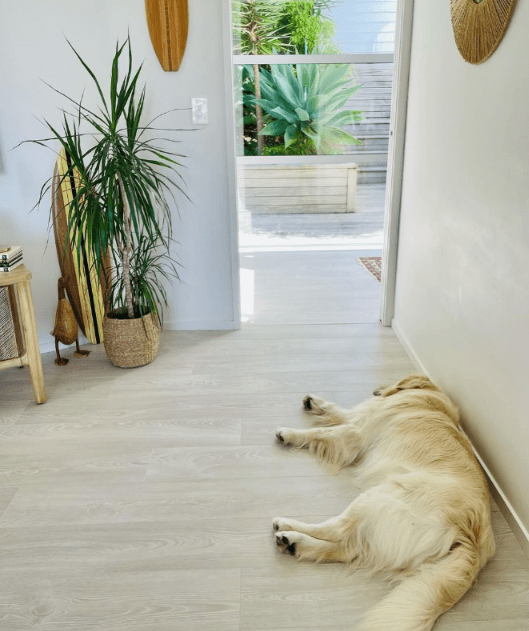 Euro Deluxe 9 Screenshot 2025 07 17 113146