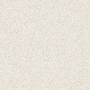 Light Cool Beige 