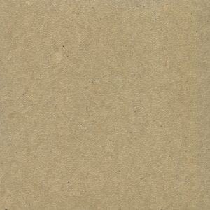 Soft Dusty Yellow