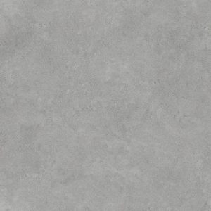 Contour 1155