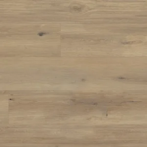 Canadian Urban Oak