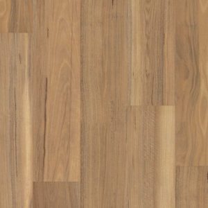 Weathered Spotted Gum