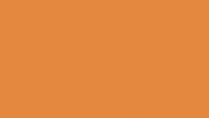 Uni Tonic Orange