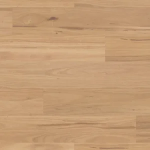 Eastern Blackbutt