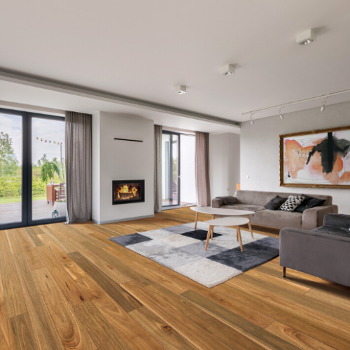 Australian-Native-Website-Spotted-Gum