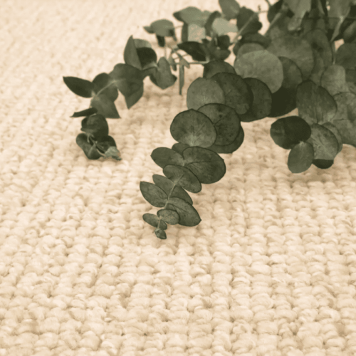 Screenshot 2024-09-05 122335