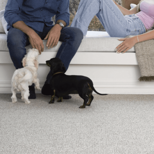 Screenshot 2024-09-05 162500