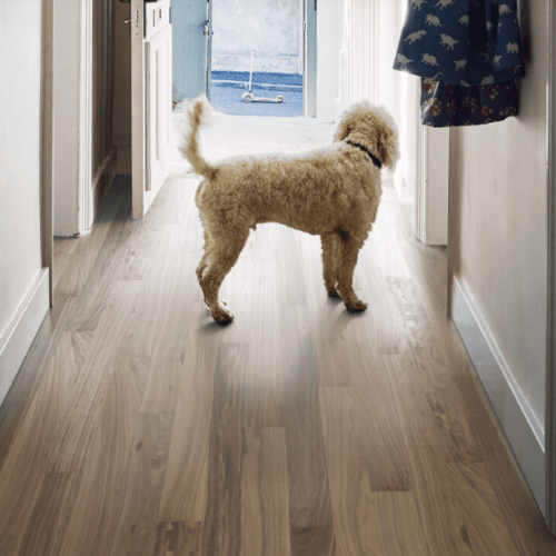 Screenshot 2025-01-29 113230 - Copy