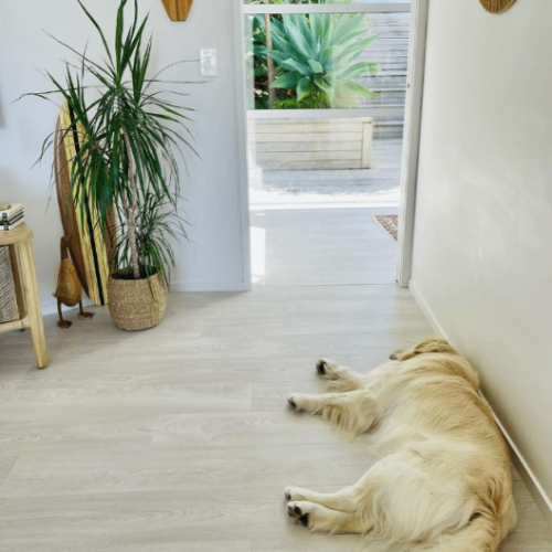 Screenshot 2025-07-17 113146