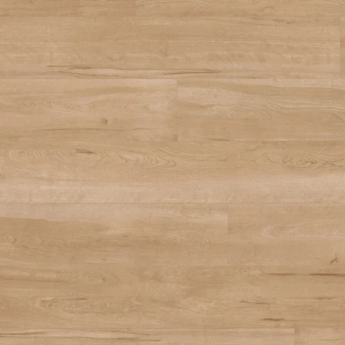 van-gogh-rigid-core_birch